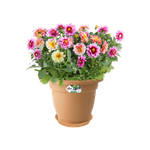 green basics untersetzer 29cm mild terra